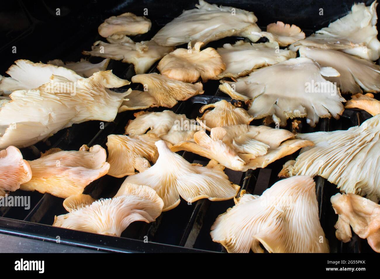 Nahaufnahme von Austernpilzen beim Kochen auf einem Grill. Veganes Lifestyle-Konzept Stockfoto