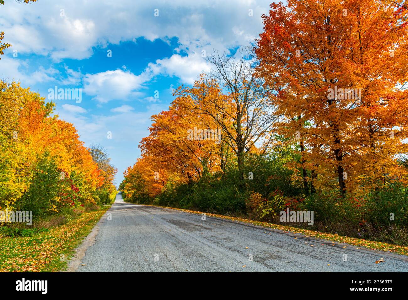 Malerischer Blick auf die ländliche Landschaft in Ontario, Kanada, im Herbst Stockfoto