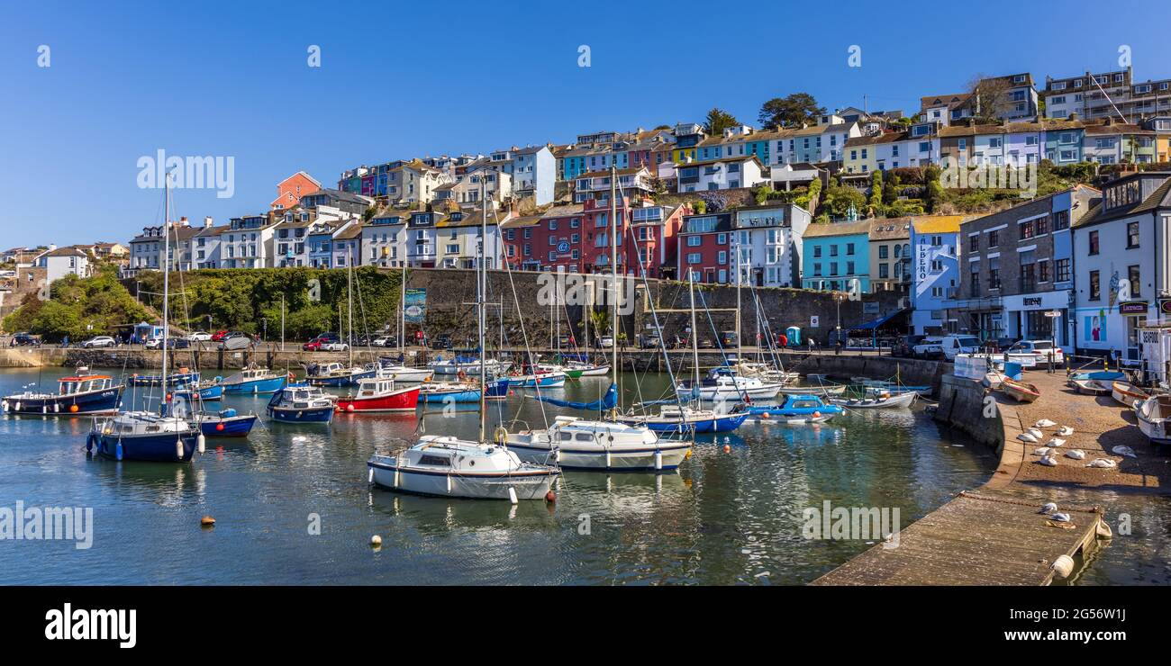 Farbenfrohe Häuser mit Blick auf den Innenhafen von Brixham im Süden von Devon. Stockfoto