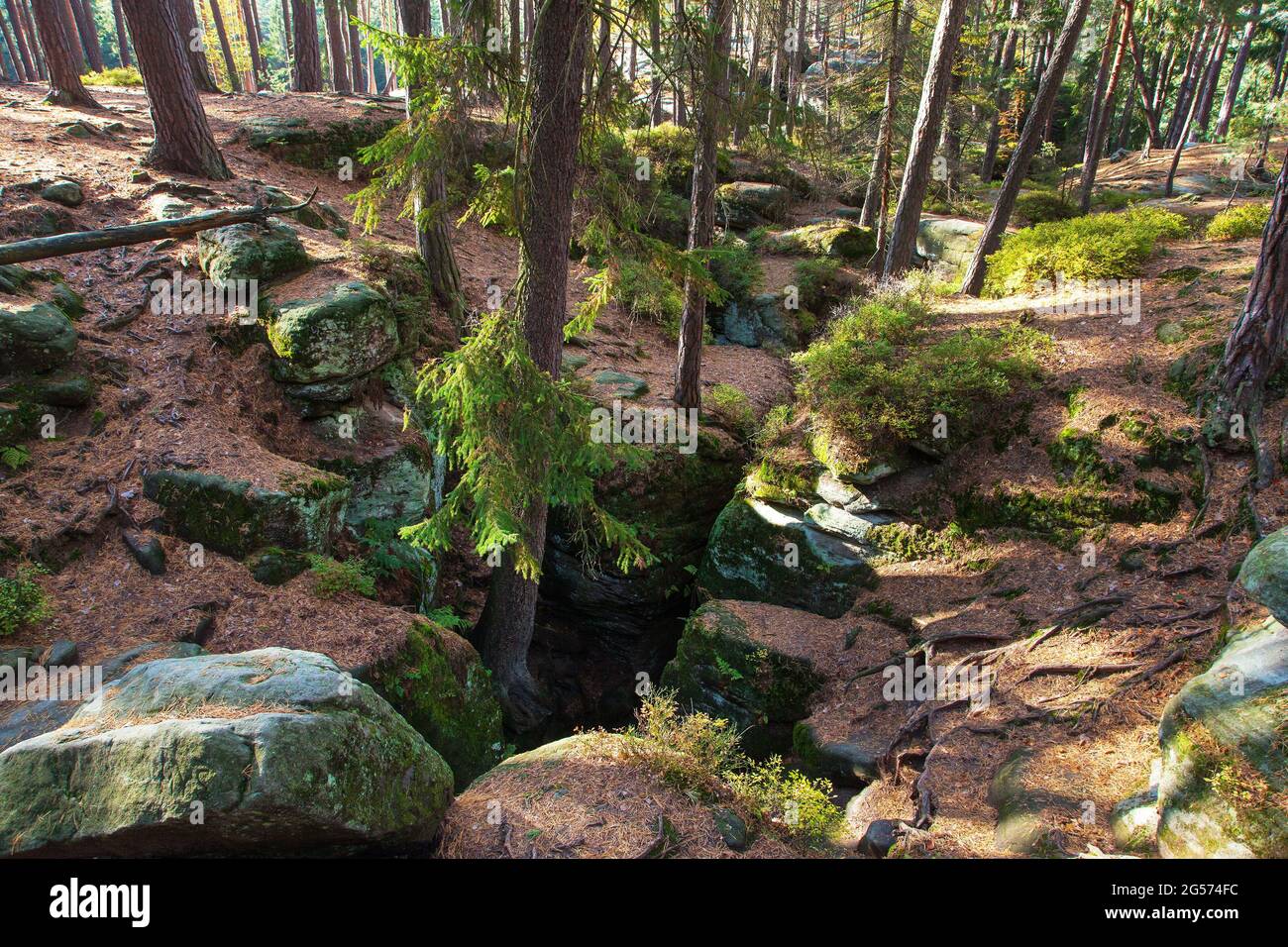 Mastale rockies oder Toulovcovy Mastale Rock City in der Nähe von Prosec Stadt, Sandstein rockies in der Tschechischen Republik Stockfoto