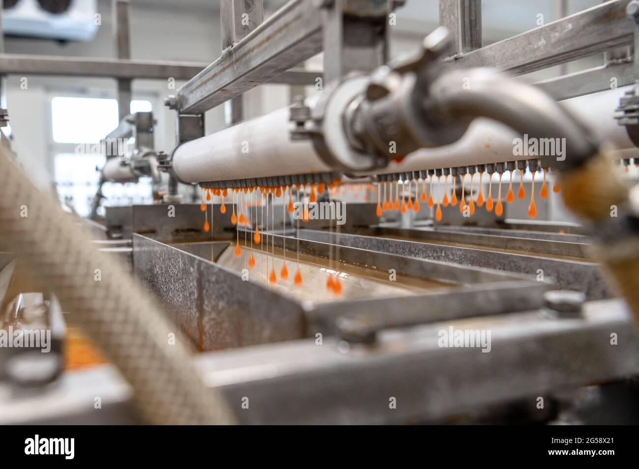 Maschine zur Herstellung von künstlichem roten Kaviar. Stockfoto