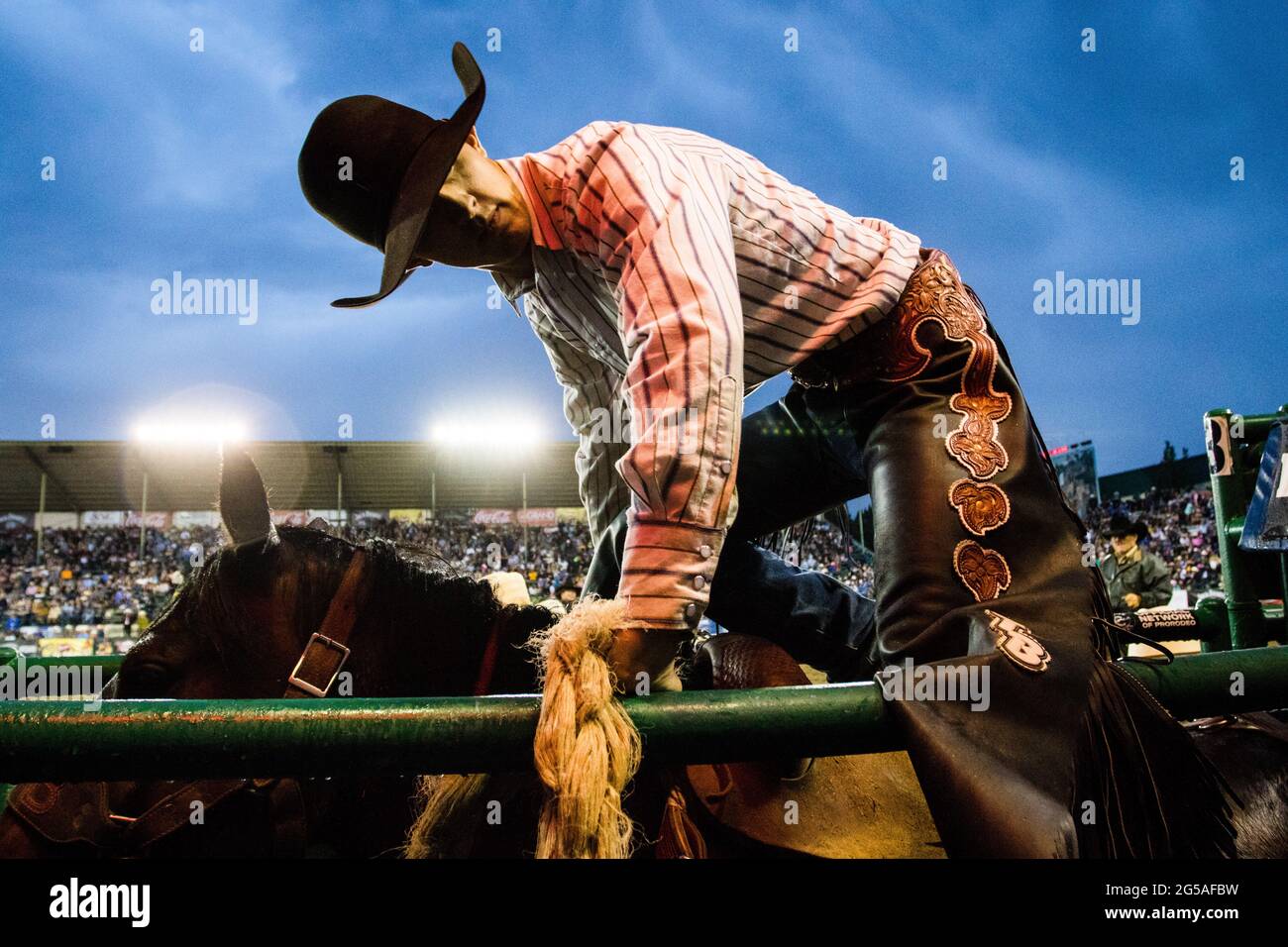 Reno, USA. Juni 2021. Tanner Butner klettert über das Rutschtor und bereitet sich auf den Sattel-Bronc-Wettkampf vor. Tag 8 des 102. Reno Rodeo brachte Regen und Schlamm zum Wettbewerb. Kredit: SOPA Images Limited/Alamy Live Nachrichten Stockfoto