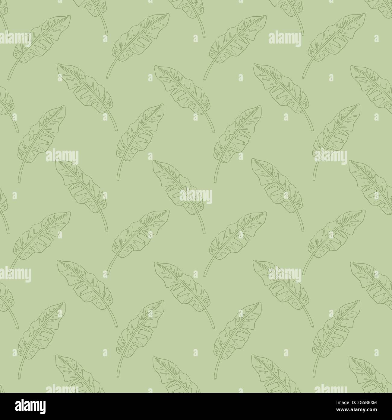 Linienzeichnung exotisches Laub Ornament im Retro-Stil in grünen Farben für Hintergrund, Hintergrund, Geschenkpapier, Stoff, Textil, Web, Dekor, Tapete, Spa und Kosmetikprodukte Stock Vektor