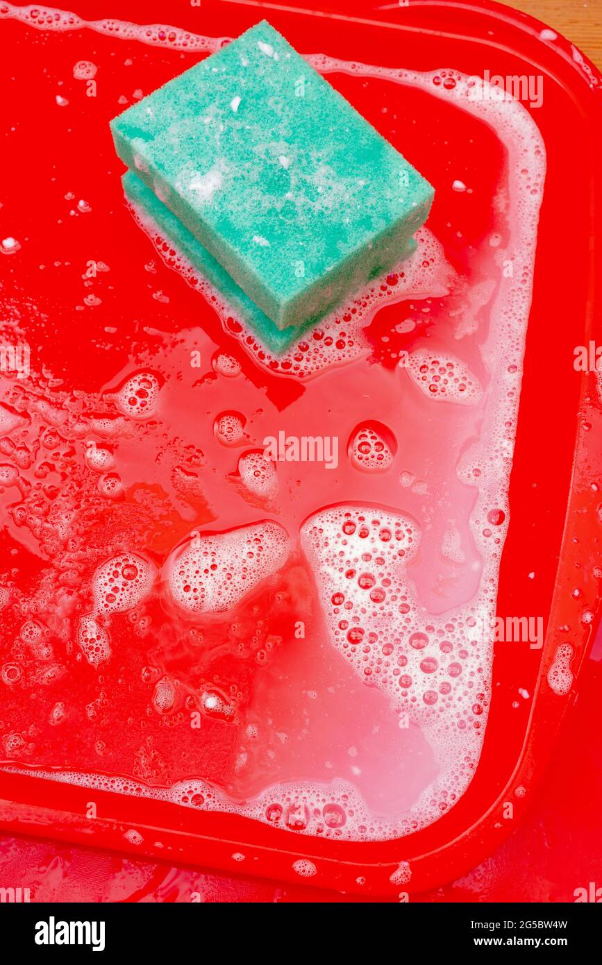 Vertikale Aufnahme der Desinfektion von rotem Kunststoff-Lebensmittelbehälter mit einem Schwamm Stockfoto