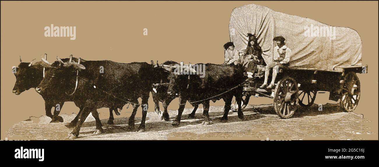 Eine frühe Zeitschriftendarstellung, die einen Planwagen (Bulllock-Wagen) zeigt, wie er von Siedlern im Westen der USA verwendet wird Stockfoto