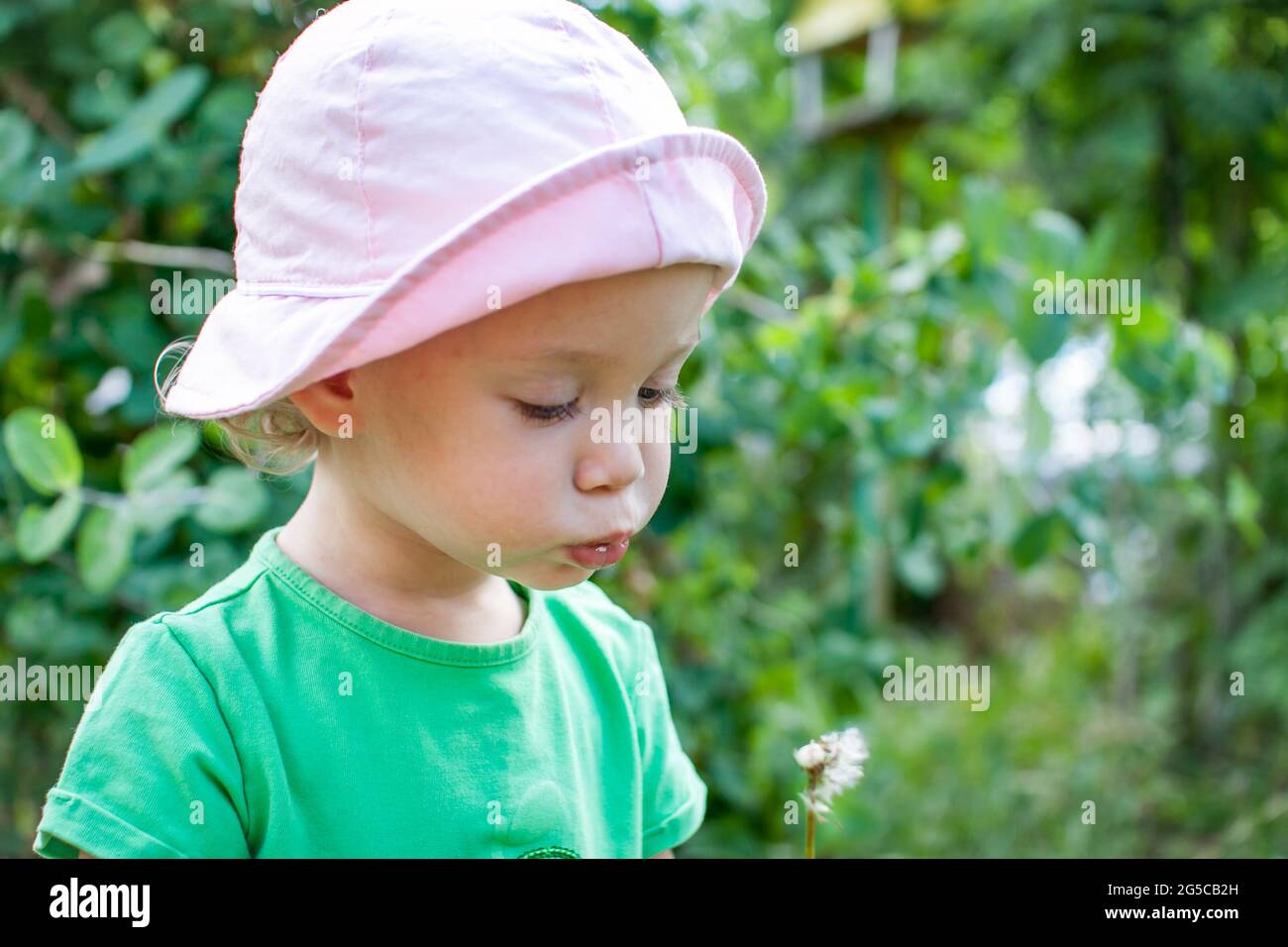 Ein kleines Mädchen in einem grünen T-Shirt und einem rosa panama spaziert im Sommer im Park und bläst den Flaum vom Dandelion Stockfoto