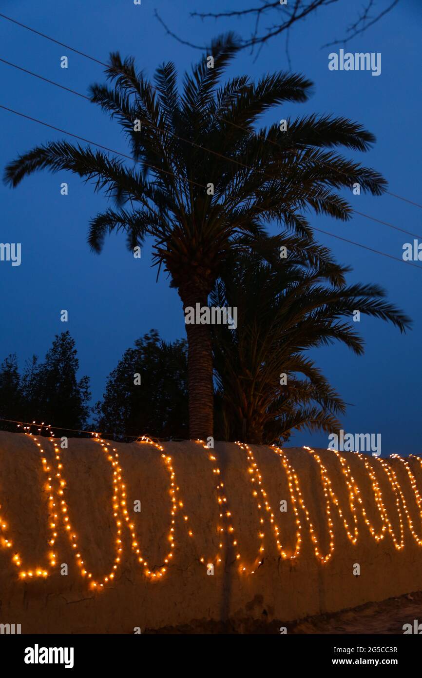 Dekorative String-Lichter im Freien, die im Garten bei nächtlichen Festen an Bäumen hängen Stockfoto