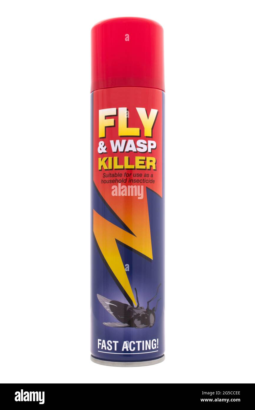 Spraydose mit Fliegenkiller und Wespenkiller auf weißem Hintergrund Stockfoto