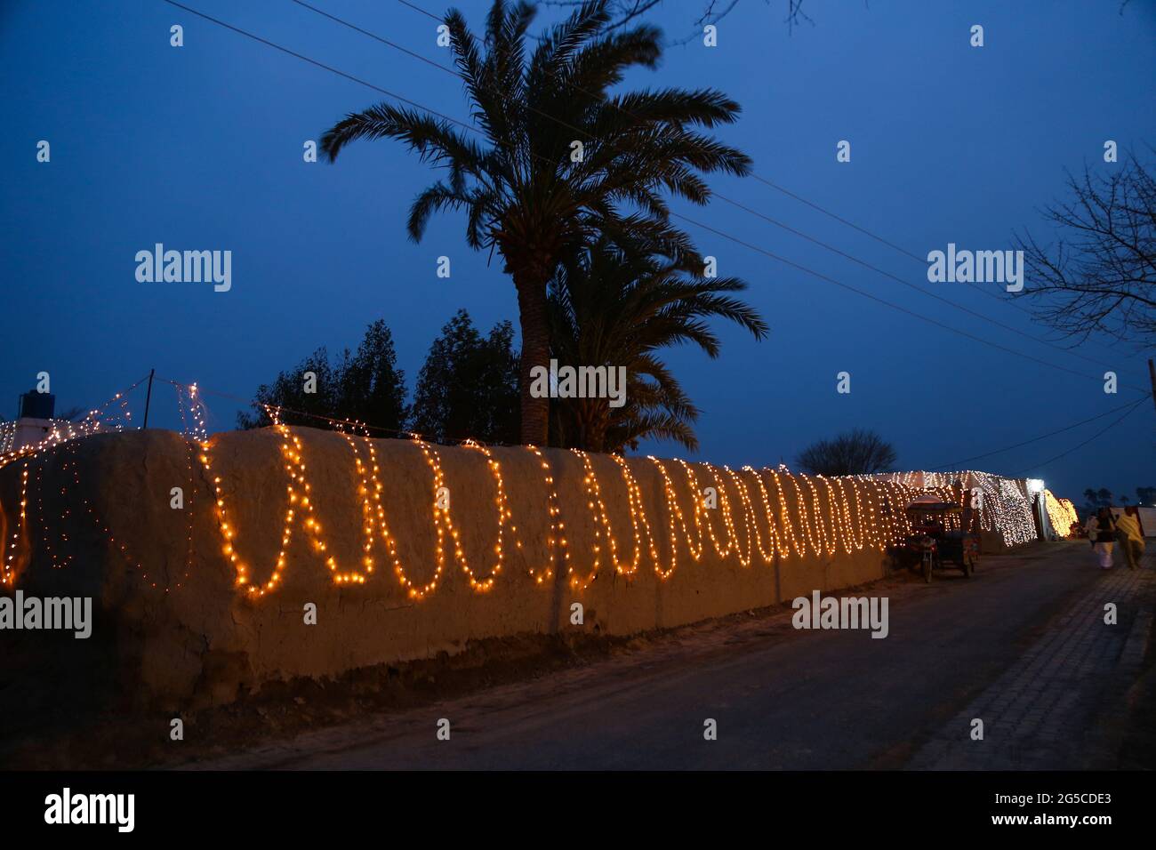 Dekorative String-Lichter im Freien, die im Garten bei nächtlichen Festen an Bäumen hängen Stockfoto