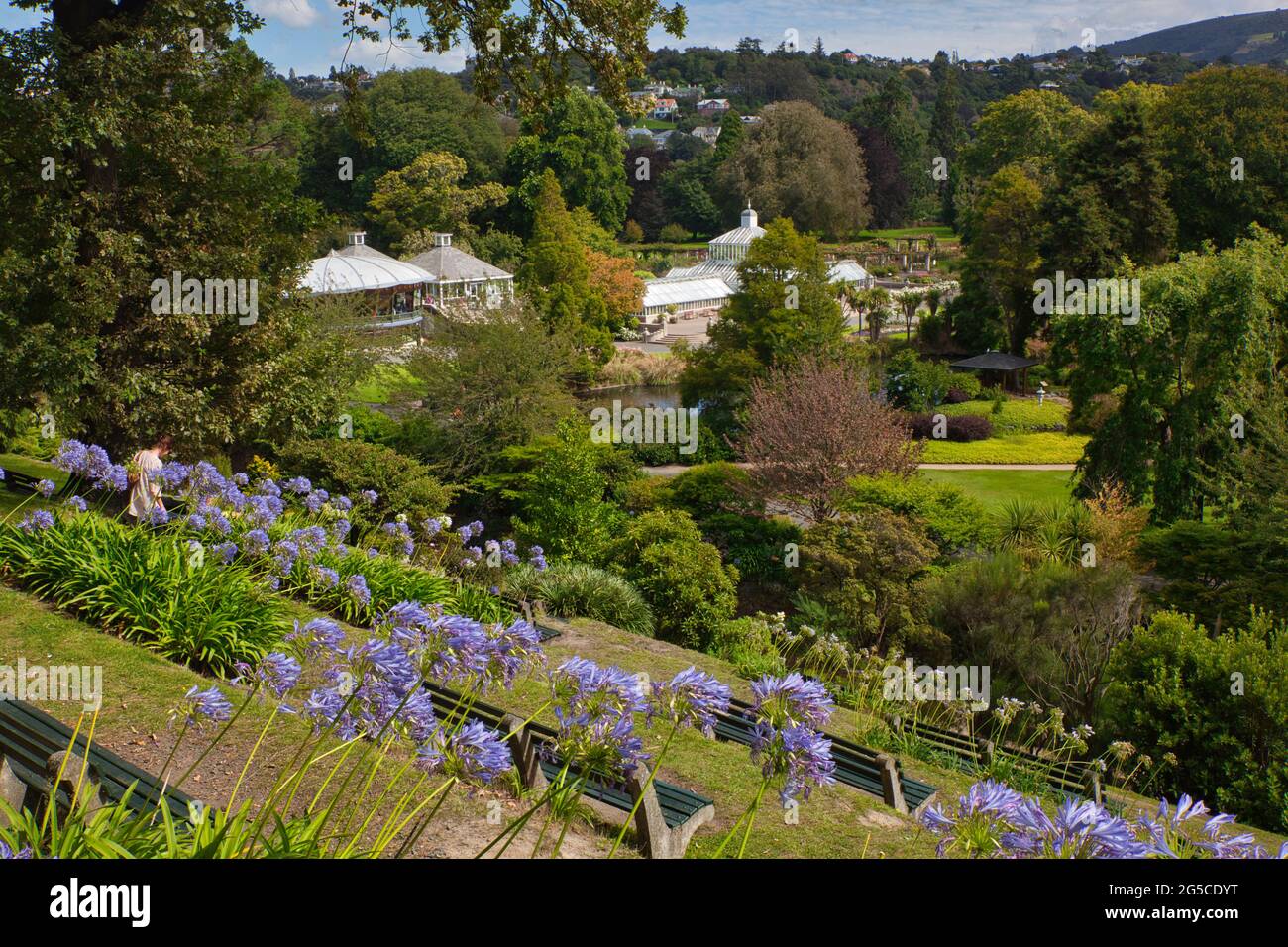 Der Botanische Garten mit Blumen, Bäumen und viel Grün, Südinsel, Neuseeland Stockfoto