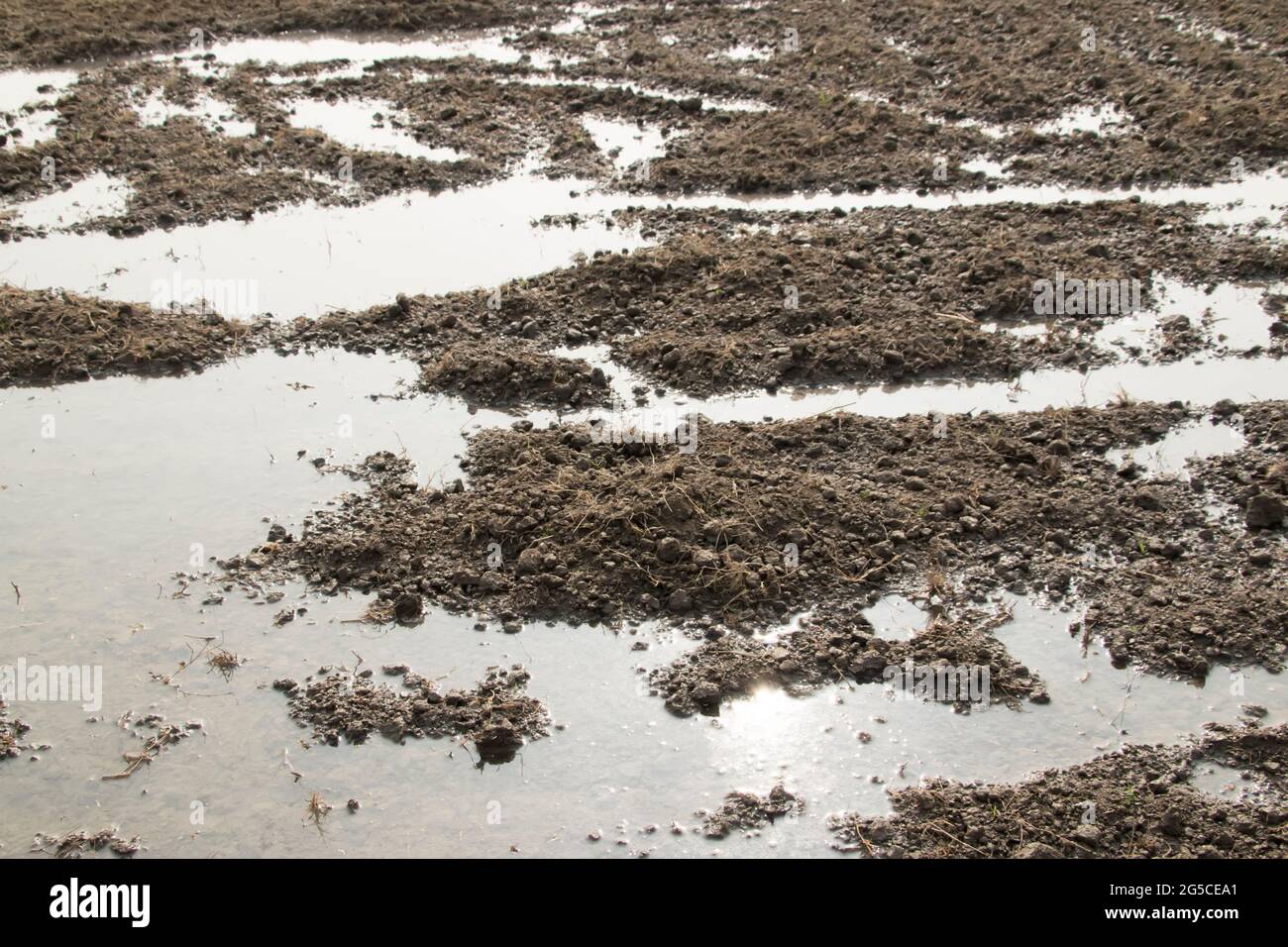 Der Boden ist eine weiche, körnige Abdeckung der Erdoberfläche Stockfoto