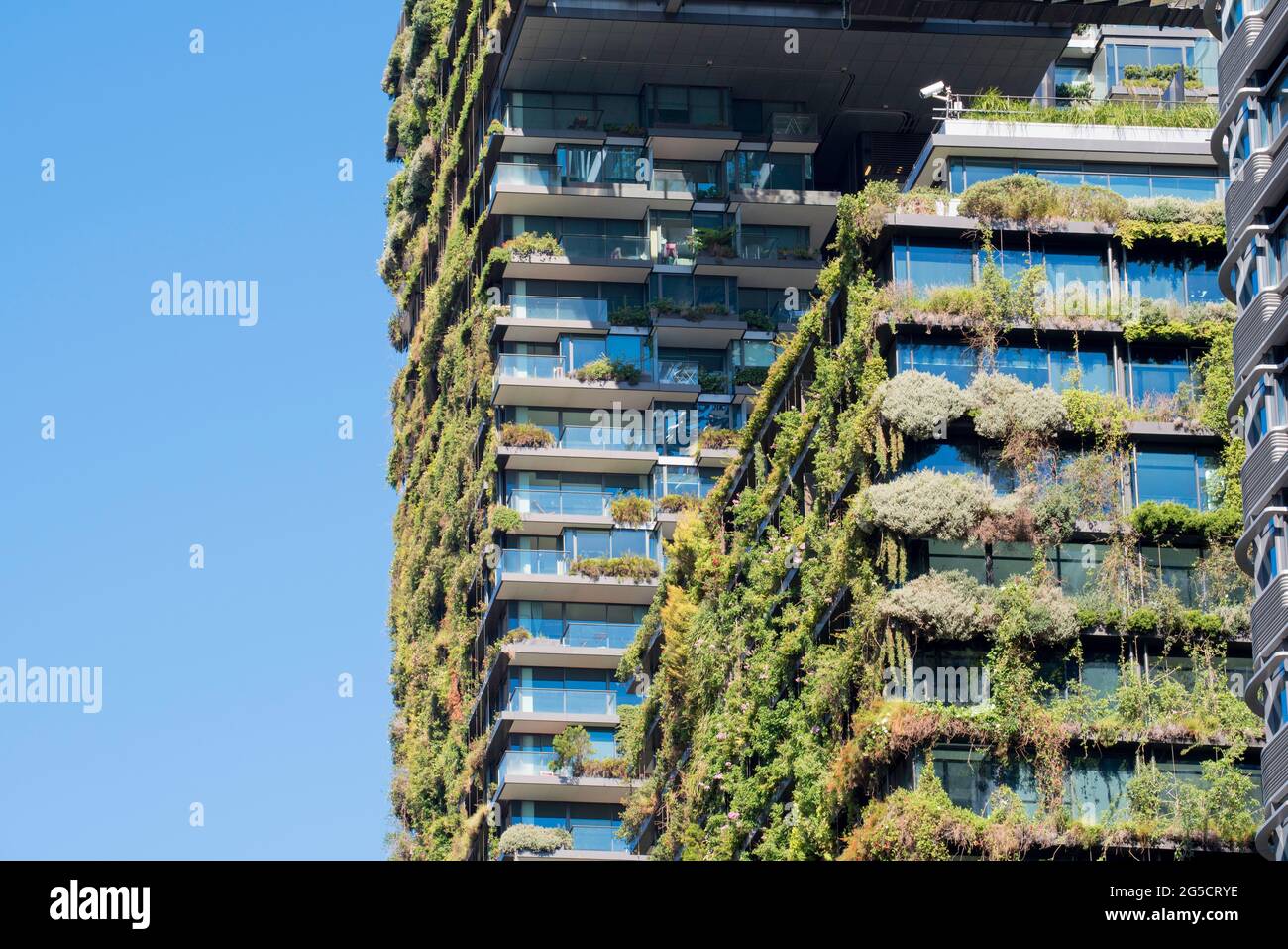 Eine Central Park, die Jean Nouvel entworfen Appartementhaus in Sydney, Australien in Australischen einheimischen Pflanzen, die vom Boden aus verlängern abgedeckt Stockfoto