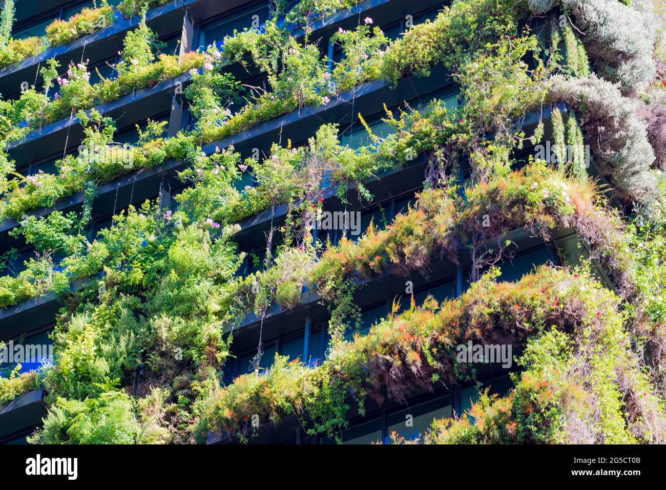 Eine Central Park, die Jean Nouvel entworfen Appartementhaus in Sydney, Australien in Australischen einheimischen Pflanzen, die vom Boden aus verlängern abgedeckt Stockfoto