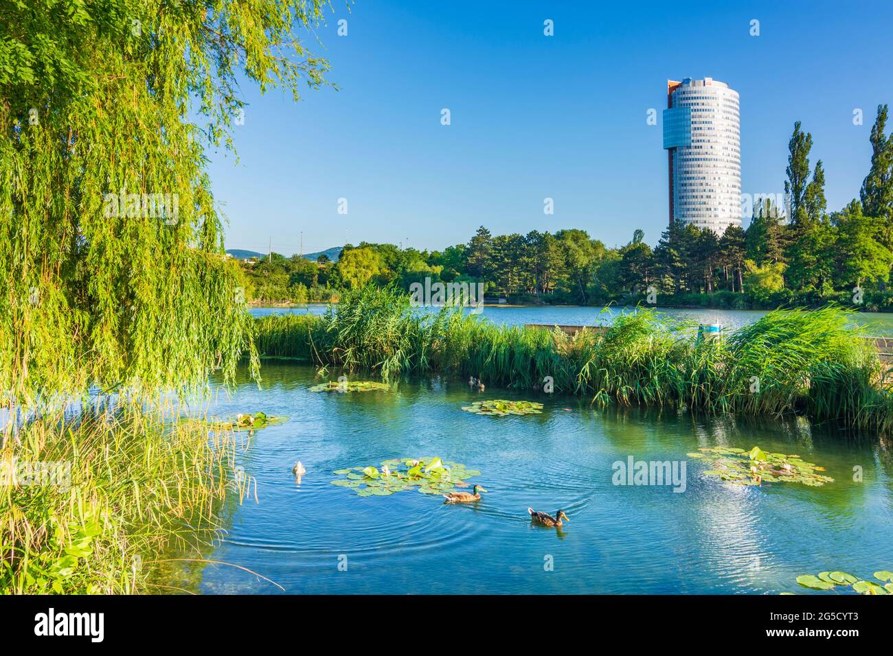 Wien, Wien: park Wasserpark, Teich des Biologischen Bodenfilters Alte Donau, Bürogebäude Florido Tower im Jahr 21. F Stockfoto