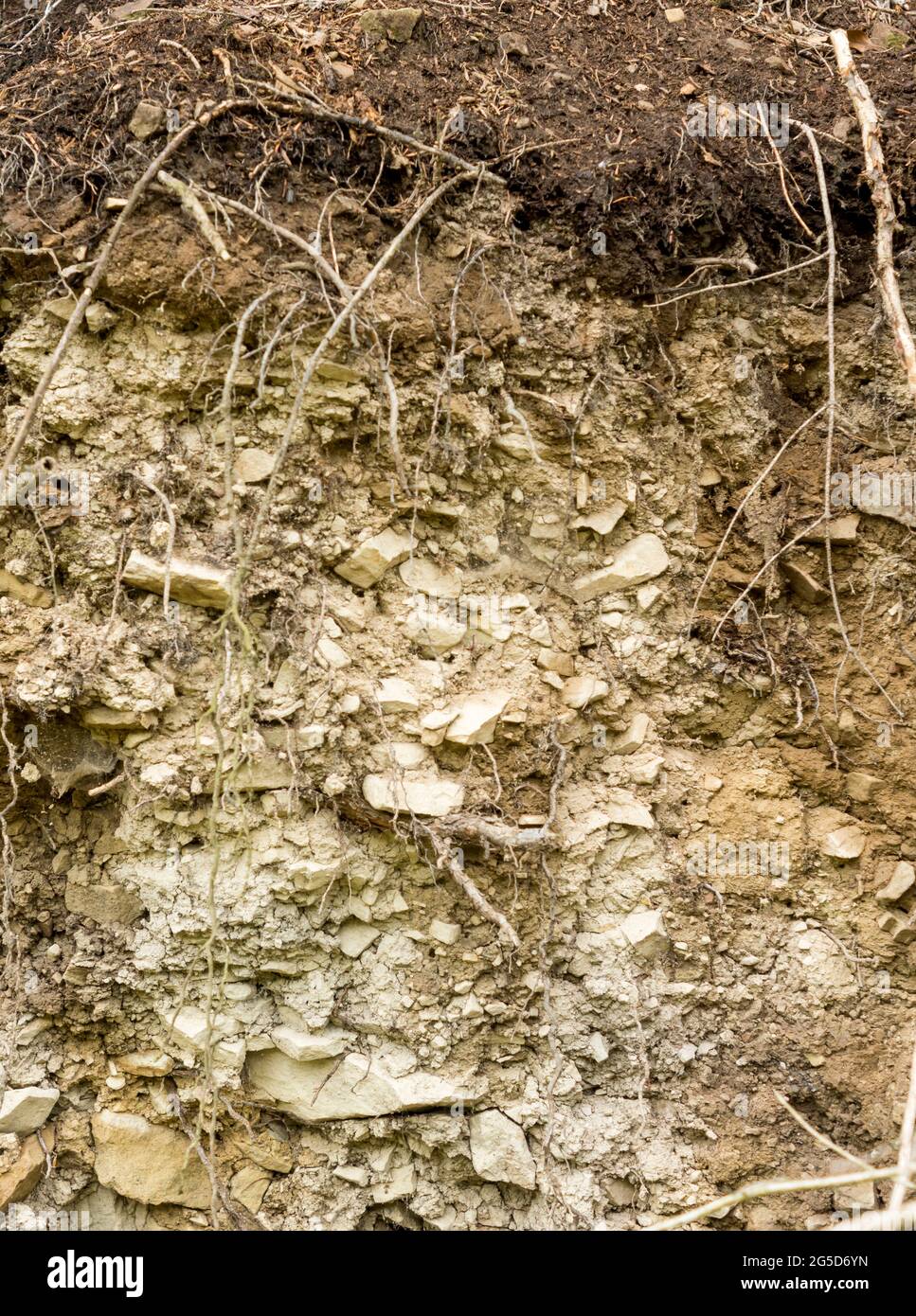 Sichtbare Schichten von lithosolartigen Böden in den Bieszczady-Bergen Stockfoto