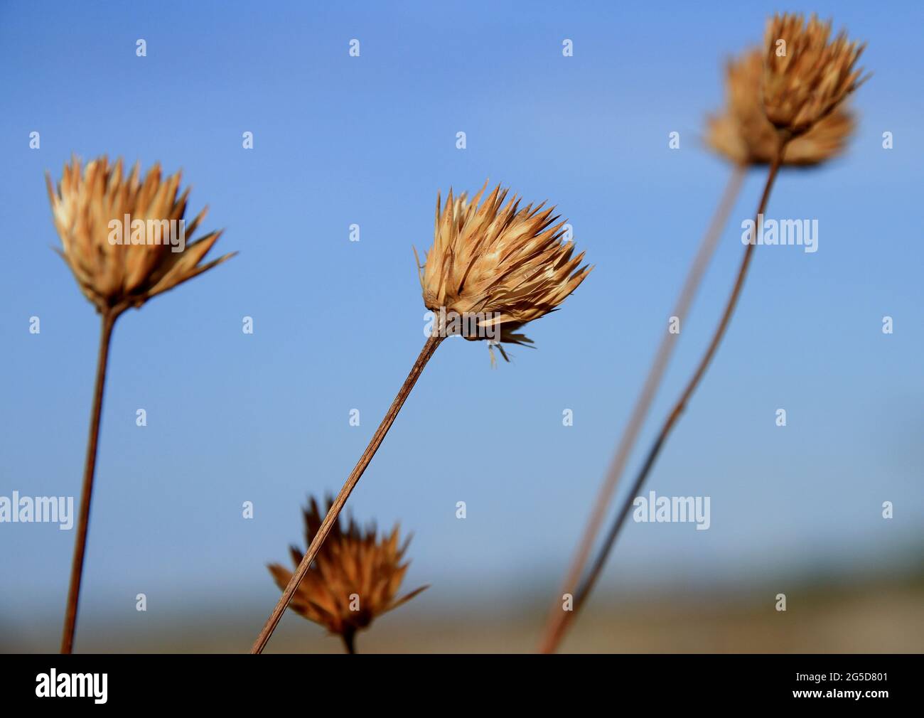 Encerramento de uma fase para início de outra Stockfoto