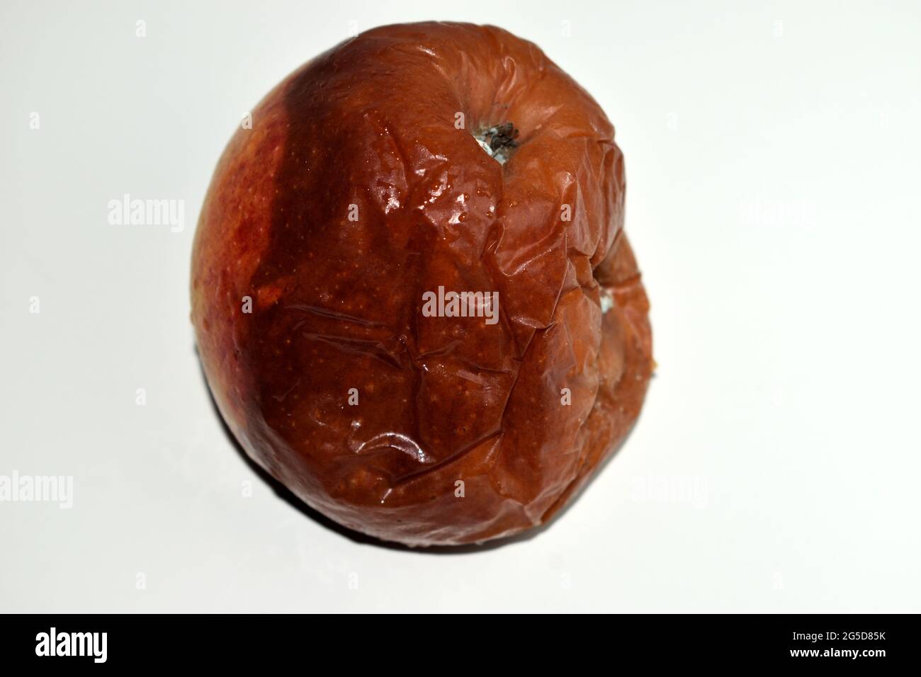 Vollständig verfaulten einzelnen Apfel mit von einigen Pilzen betroffen Stockfoto