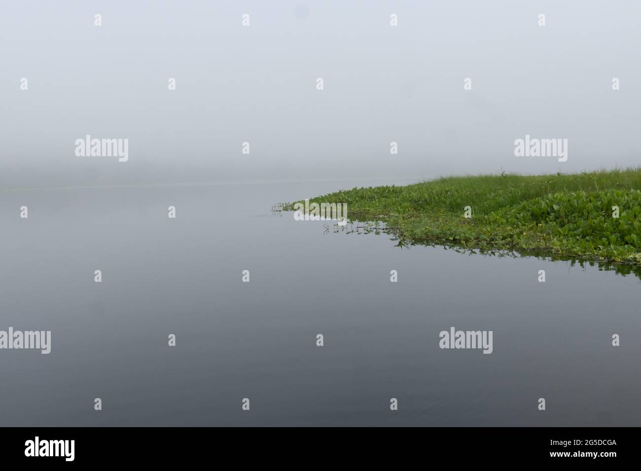 Am frühen Morgen umhüllt Nebel einen Nebenfluss zum mächtigen Amazonas in Peru Stockfoto