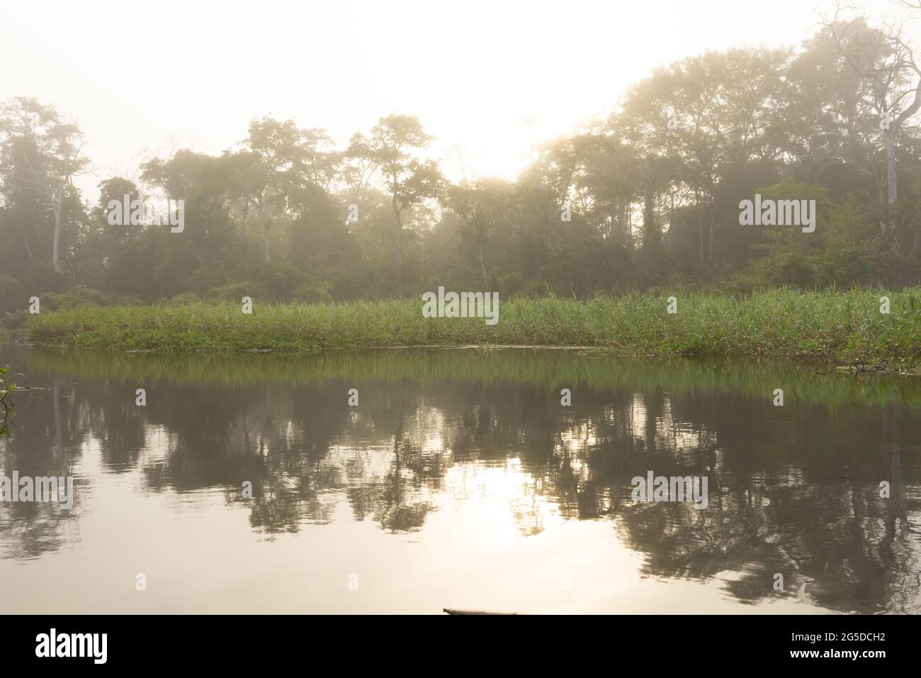 Am frühen Morgen umhüllt Nebel einen Nebenfluss zum mächtigen Amazonas in Peru Stockfoto
