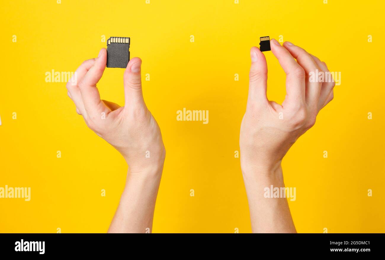 Weibliche Hände halten zwei SD-Speicherkarten auf gelbem Hintergrund. Minimalistisches Techno-Konzept. Draufsicht Stockfoto