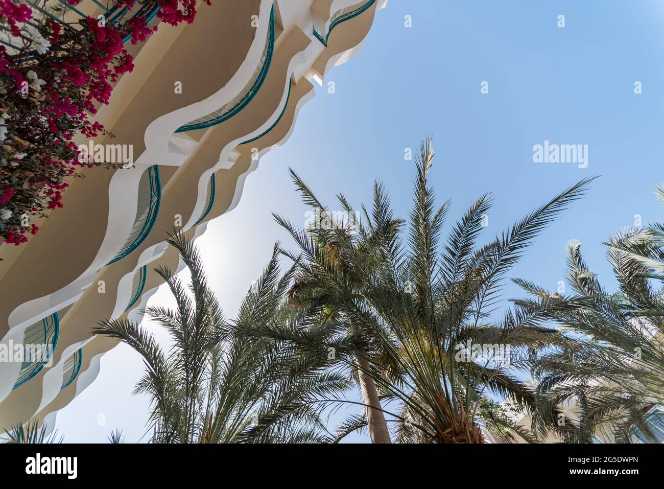 Bodenansicht von Palmblättern gegen den blauen Himmel in ägypten Stockfoto