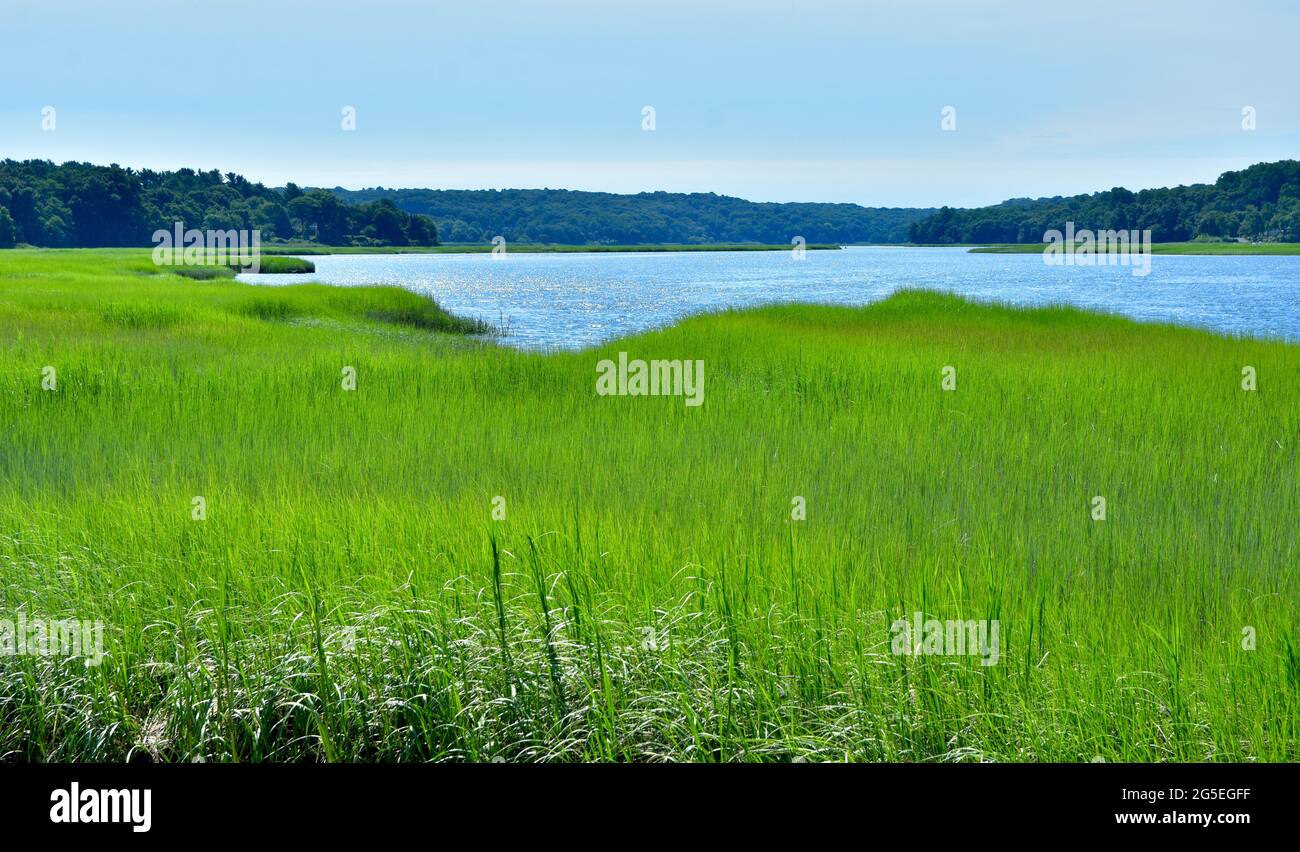 Eine leuchtend grüne Weite von Gezeitensalzsumpf öffnet sich zum blauen Wasser des Stony Brook Harbour am Nordufer von Long Island. Speicherplatz kopieren. Stockfoto