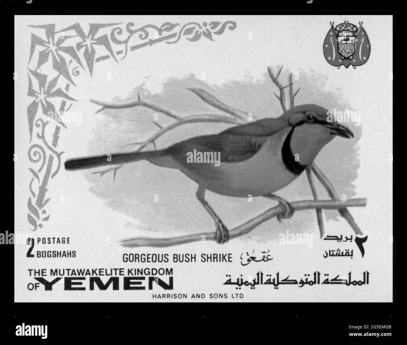 Stempeldruck im Jemen, Vögel, wunderschöner Buschwürger Stockfoto