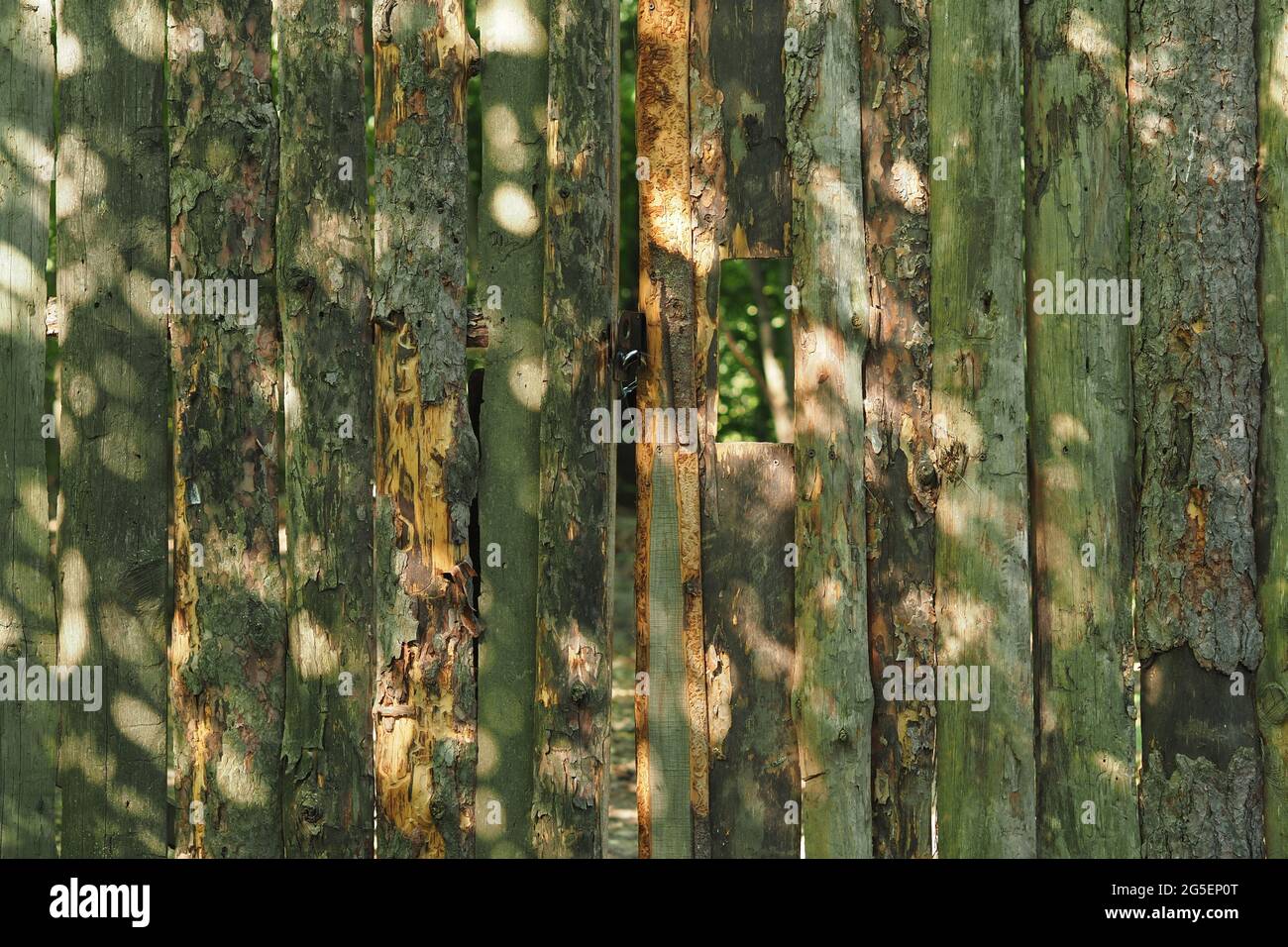 Holzzaun. Struktur des Holzzauns. Stockfoto
