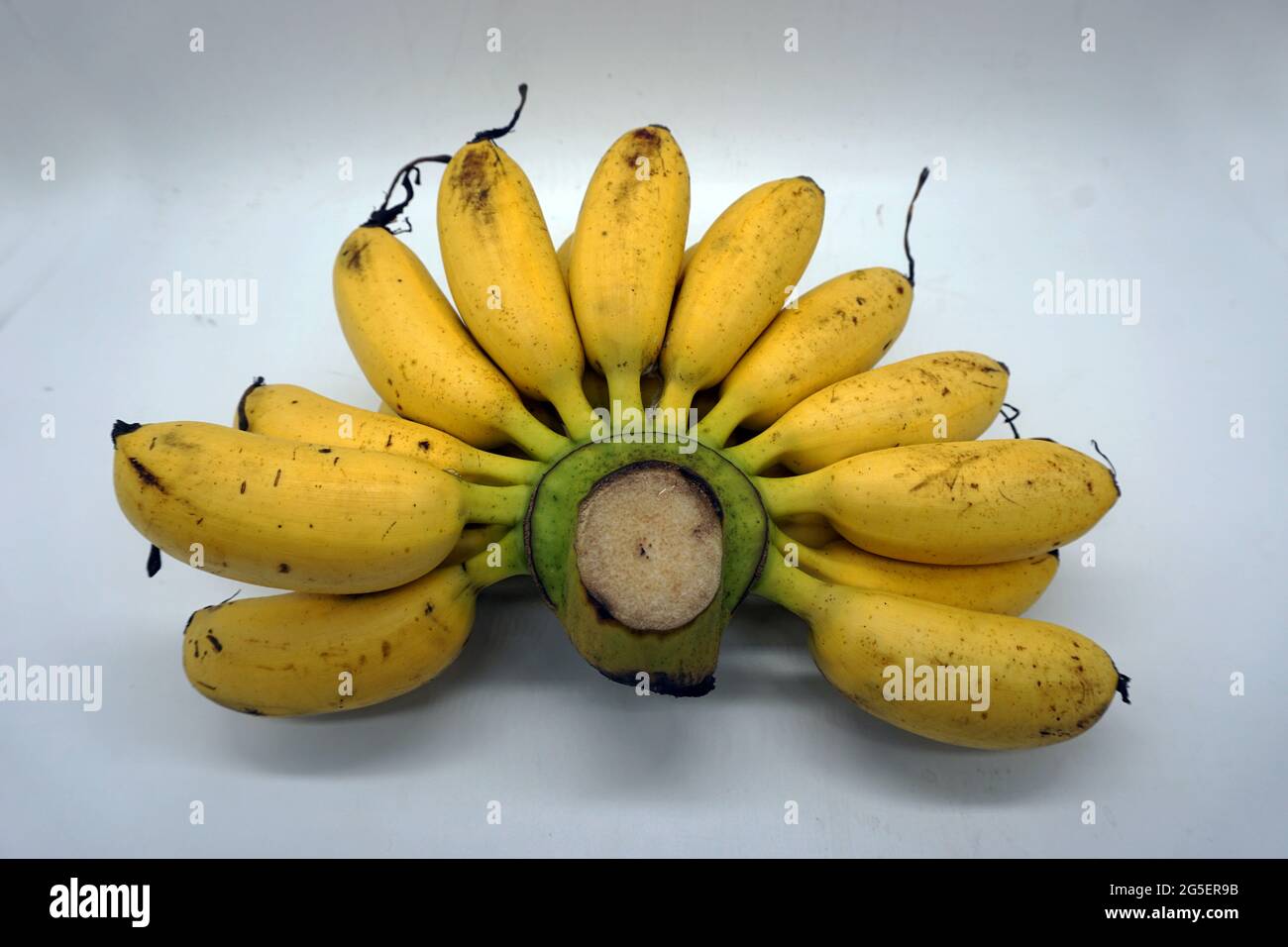 Bananen auf weißem Hintergrund Stockfoto