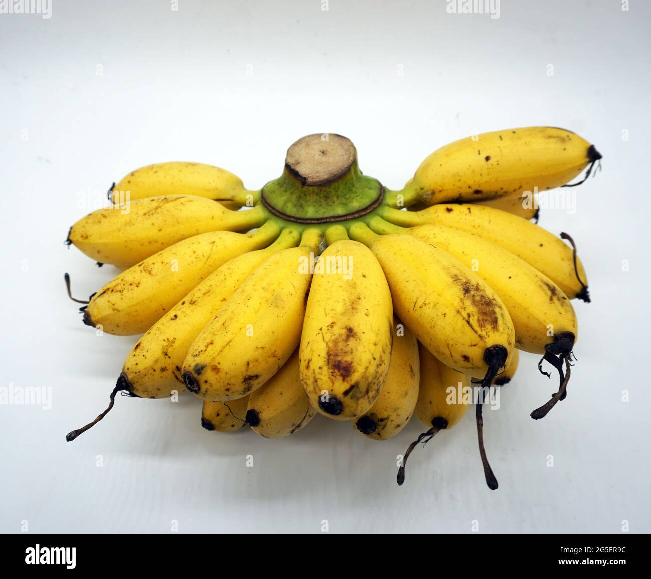Bananen auf weißem Hintergrund Stockfoto