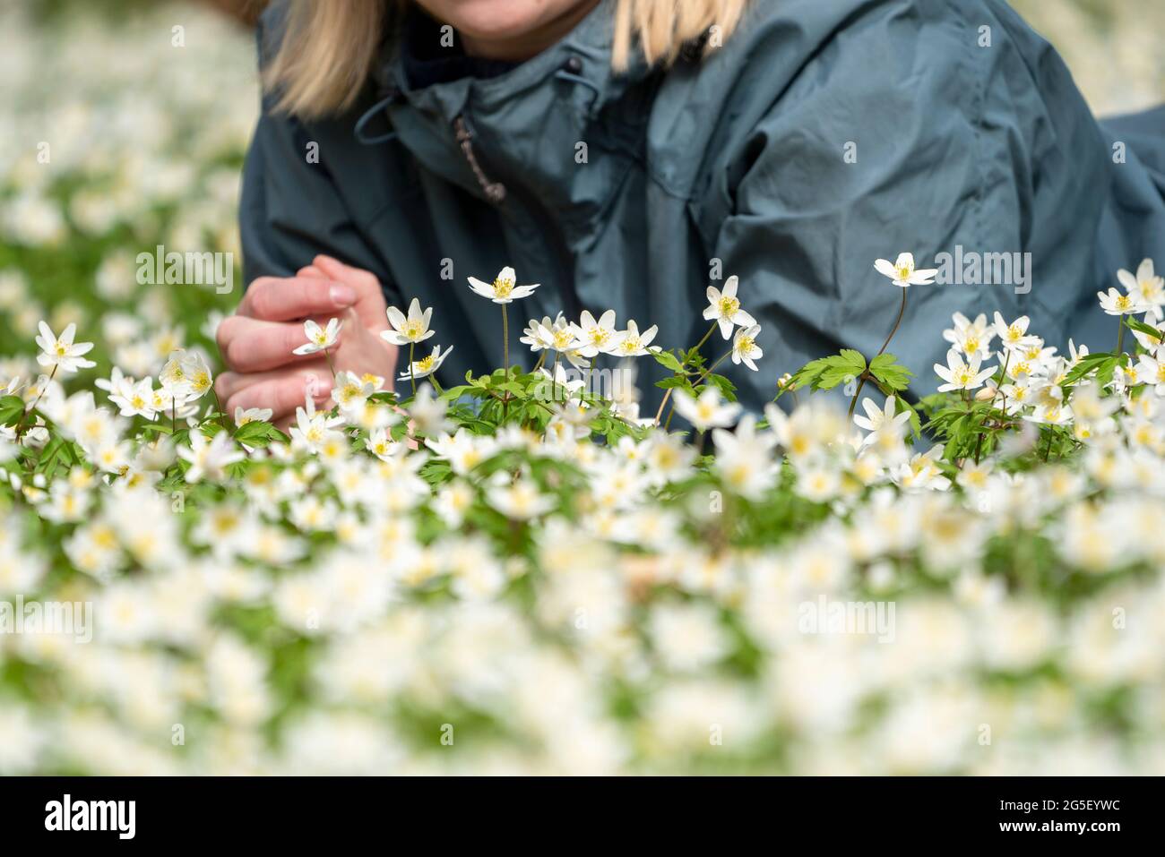 Frau, die sich im Blumenbett oder auf dem Feld mit Wanderkleidung hinlegt, Stockfoto