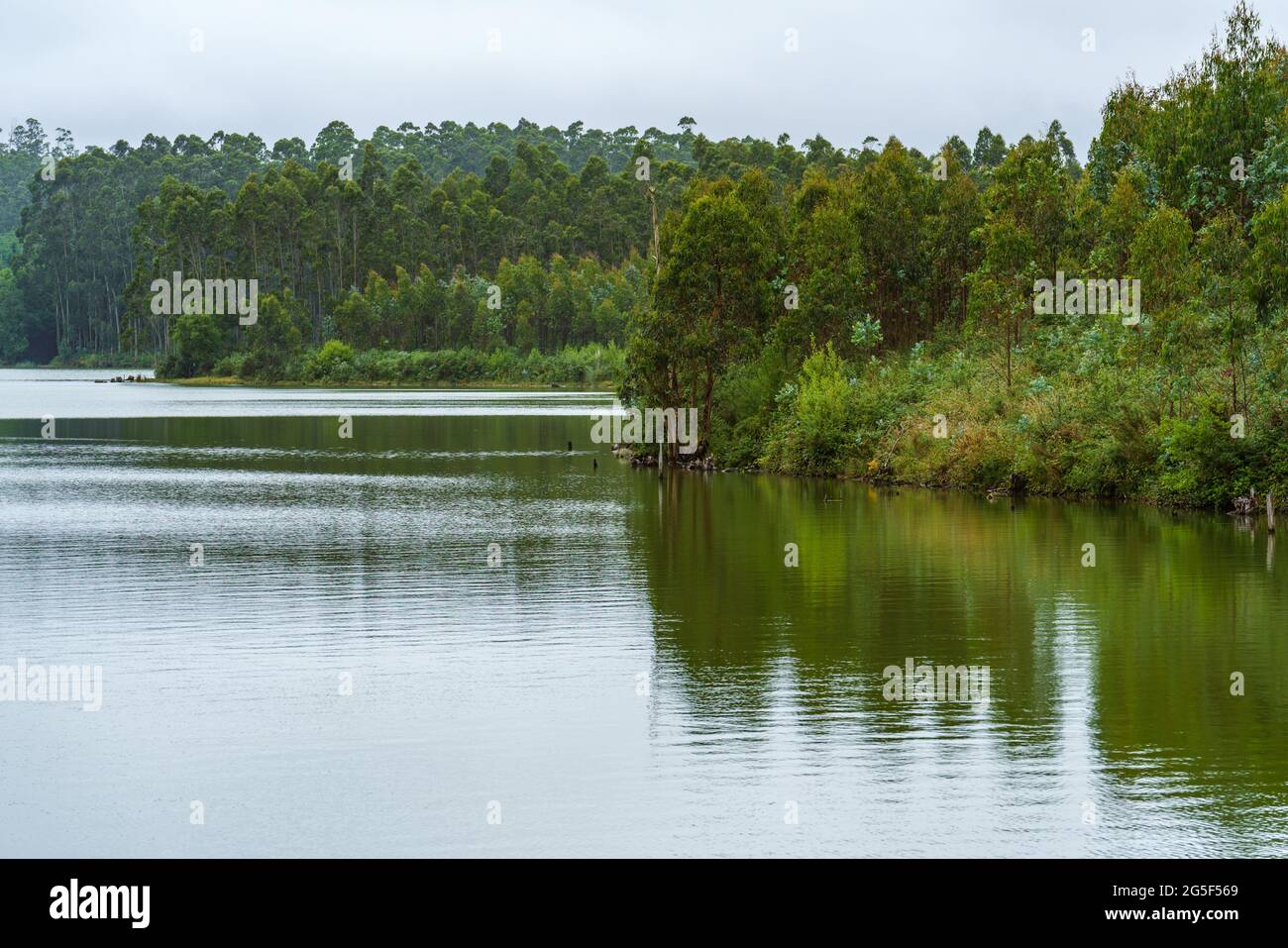 Grünes Ufer eines Sees. Voller Wasserspeicher, künstlicher See, Staudamm. Encoro das Forcadas in Galicien, Spanien Stockfoto