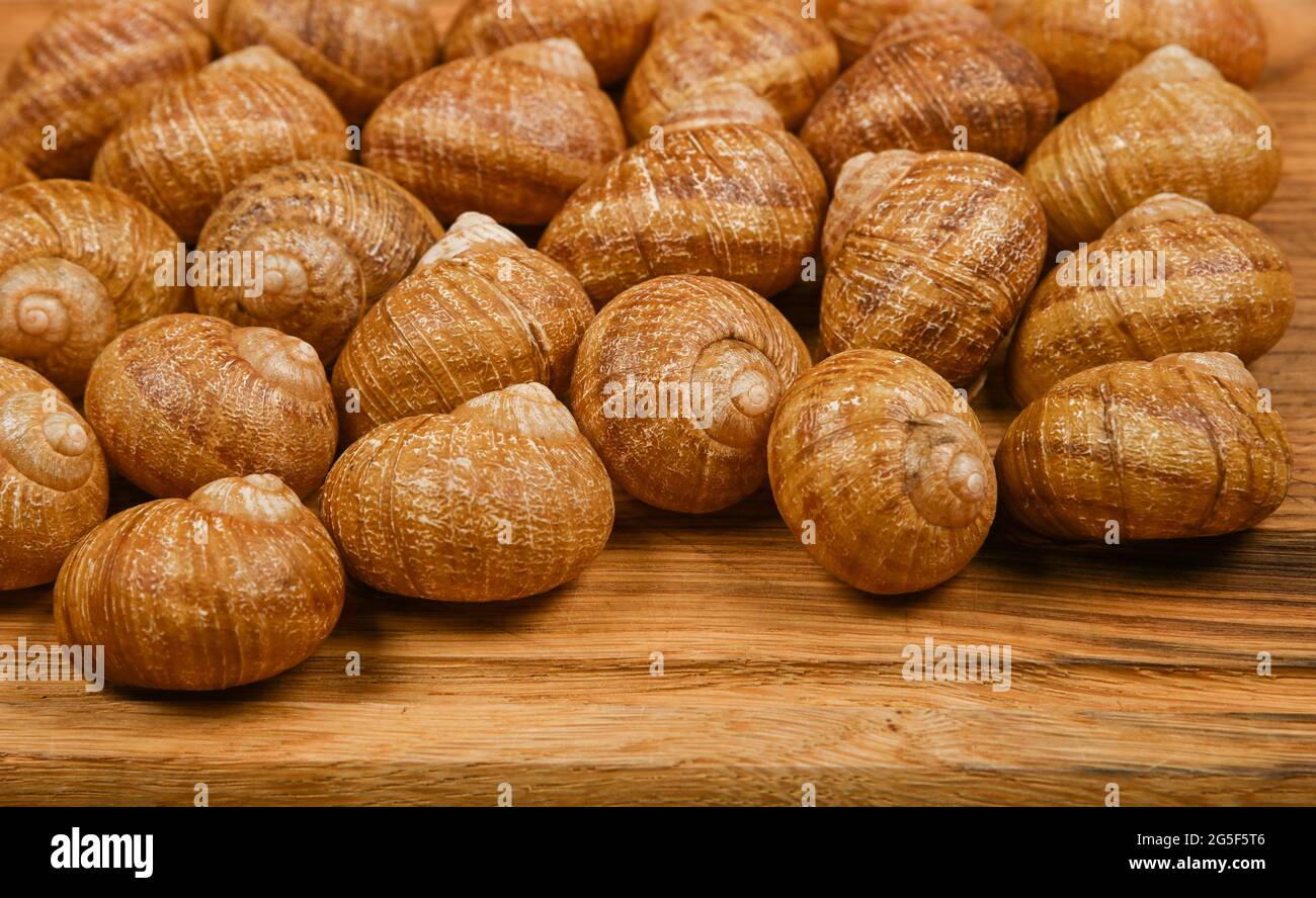 Nahaufnahme von zwei Dutzend Escargot Land Schneckenschalen auf braunem Eichenholz Schneidebrett Hintergrund, High-Angle-Ansicht Stockfoto Nahaufnahme von zwei Dutzend Escargot Land Schneckenschalen auf braunem Eichenholz Schneidebrett Hintergrund, High-Angle-Ansicht Stockfoto