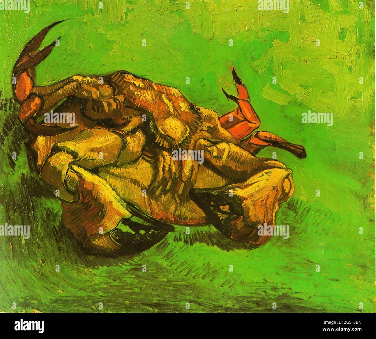 Vincent Van Gogh - Crab IT S Zurück 1889 Stockfoto