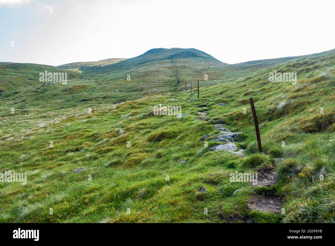 Alte Zaunpfosten zeigen die Route auf den munro-Berg von Meall Corranaich, der zur Ben Lawers Range in Schottland gehört Stockfoto