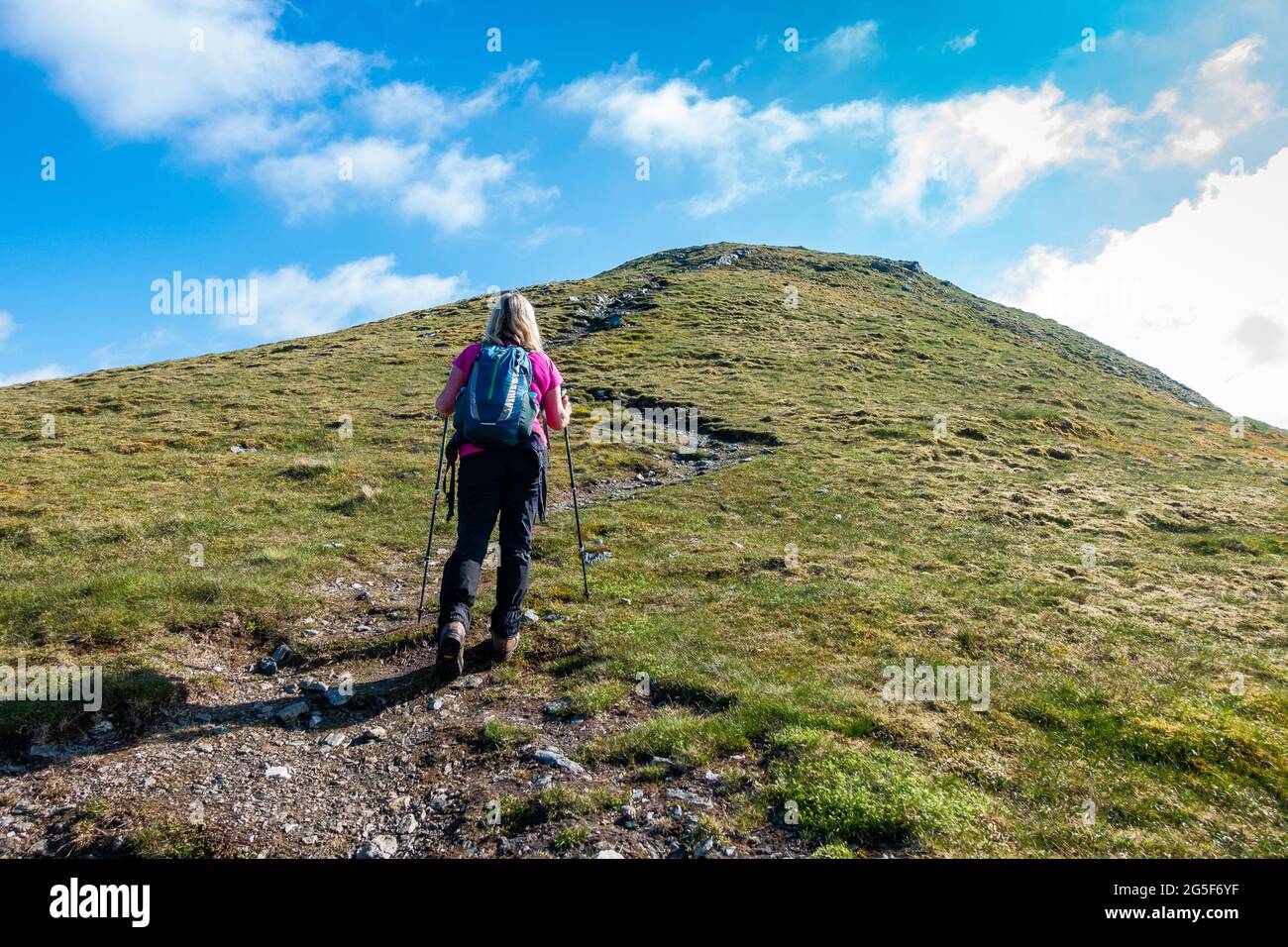 Eine Walkerin macht sich auf den letzten Weg zum munro-Berg Meall Corranaich, der zur Ben Lawers Range in Schottland gehört Stockfoto