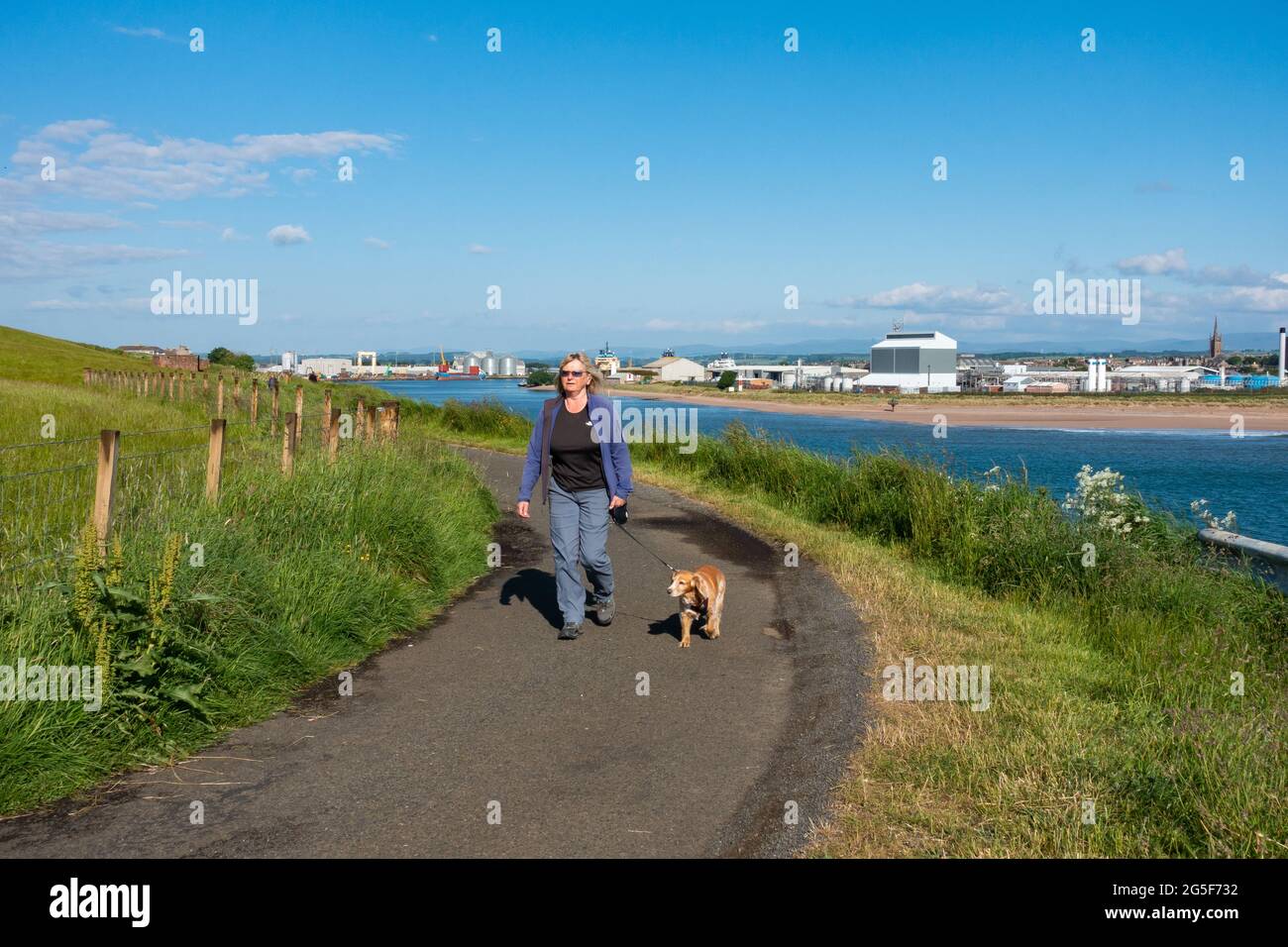 Ein Hundespaziergang auf dem Küstenweg bei Scurdie Ness, mit Montrose im Hintergrund Stockfoto