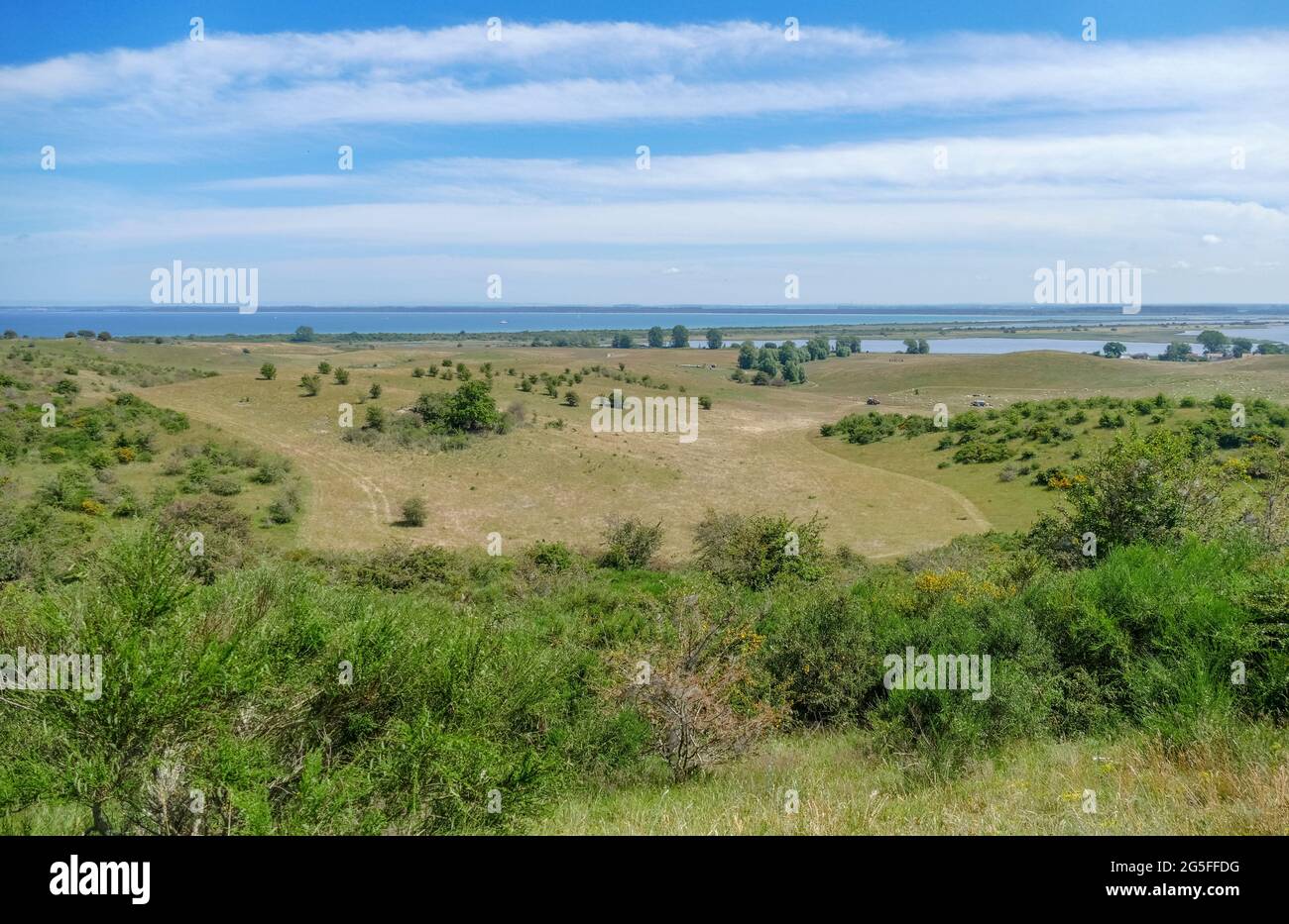 Landschaft um Hiddensee, einer Insel in der Ostsee Stockfoto