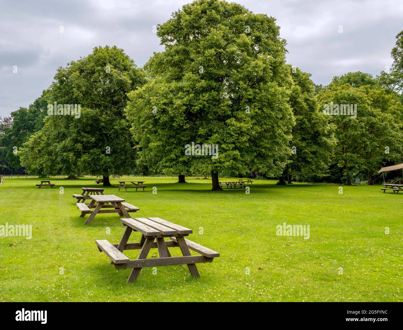 Hölzerne Picknicktische auf einem Feld in einem Park Stockfoto