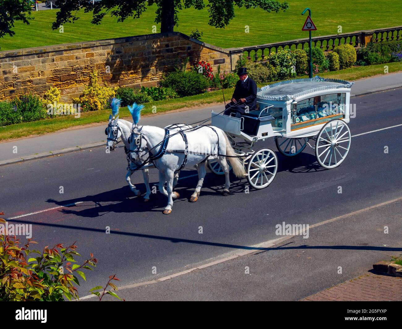 Ein traditioneller weißer Leichenwagen, der von zwei weißen Pferden gezeichnet wurde, die den Sarg der Verstorbenen bei ihrer Beerdigung in Marske am Meer, North Yorkshire Engla, trugen Stockfoto