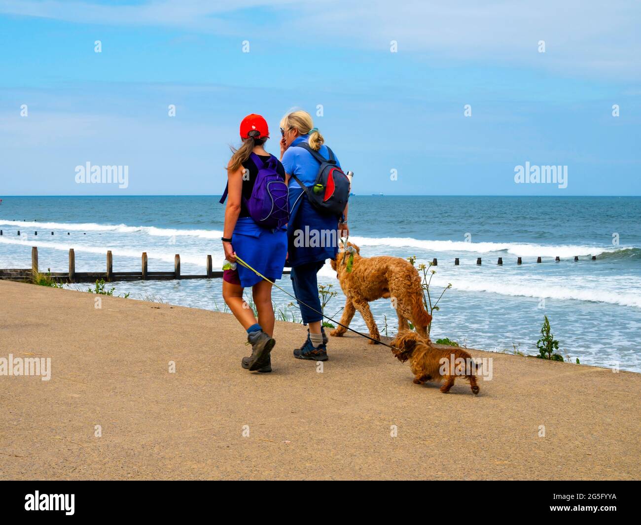 Zwei Frauen trainieren sich selbst und ihre Hunde, die entlang der Promenade der North Yorkshire Coast in Redcar spazieren Stockfoto