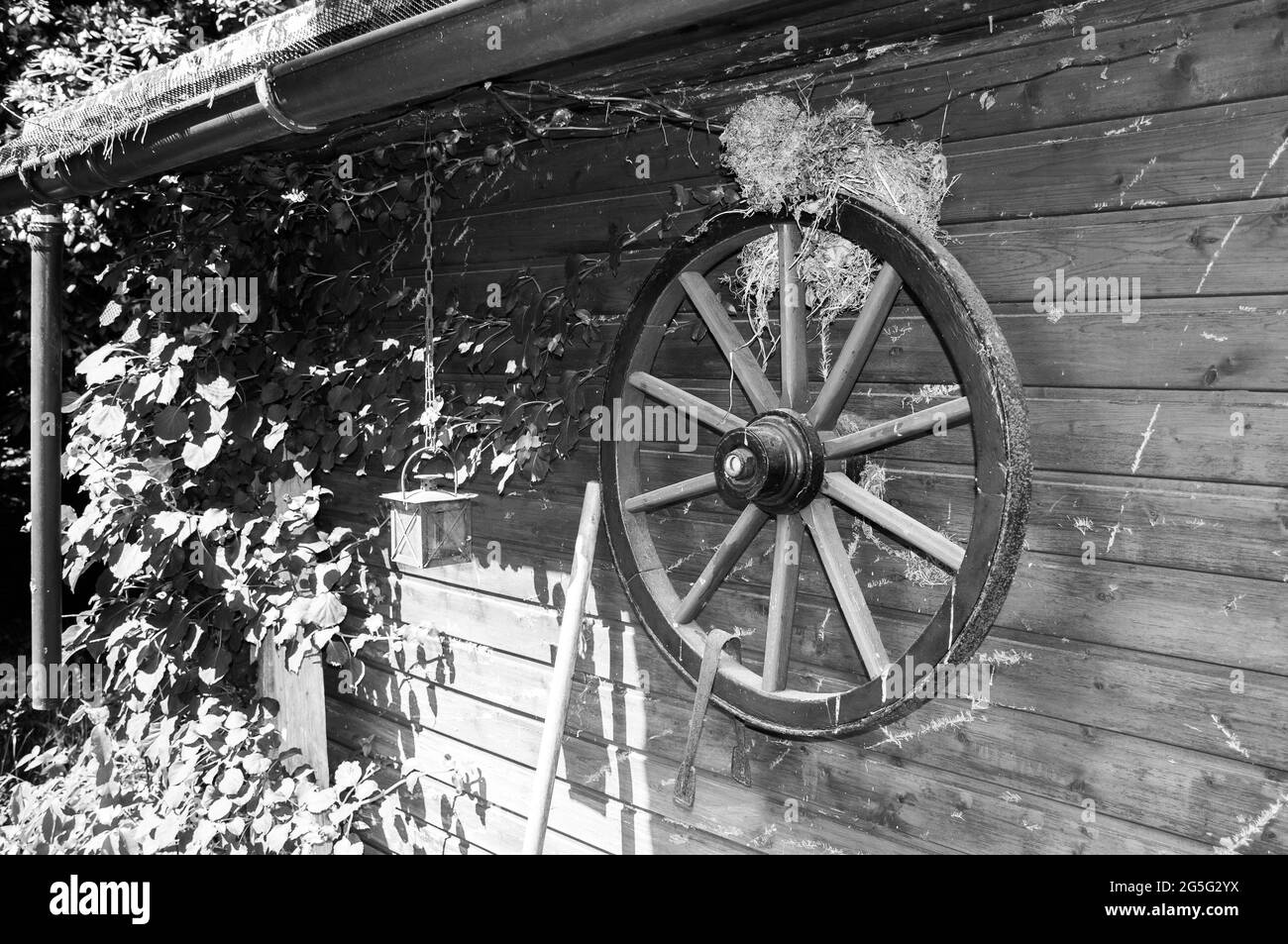 Dekoration auf einem Gartenschuppen. Ein altes Kutschenrad, auf dem ein Vogel sein Nest gebaut hat Stockfoto