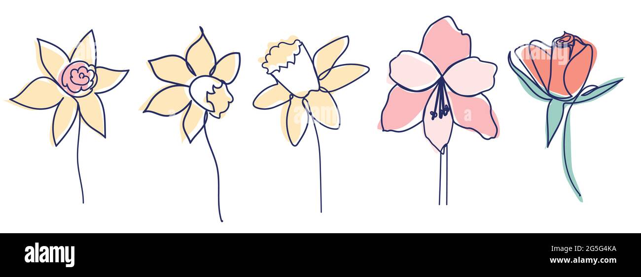 Kontinuierliche Linienzeichnung der schönen Blume Calla, Monstera Blatt, Rose, Narzissen, Seerose, Orchidee Stock Vektor