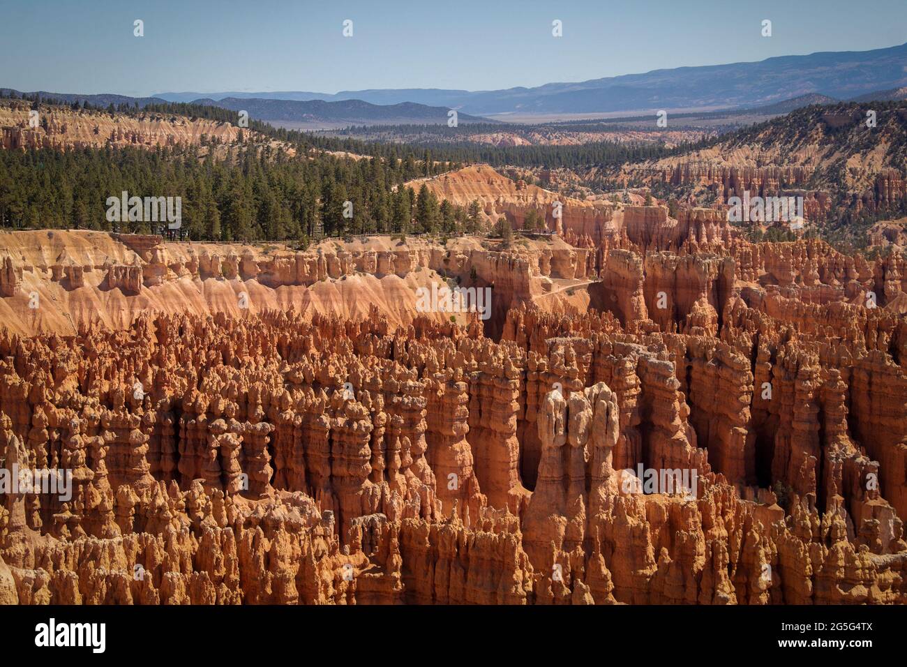 Hoodoos - Rote Felsformationen im Bryce Canyon Utah USA, die wie eine Armee von Aliens aussehen Stockfoto