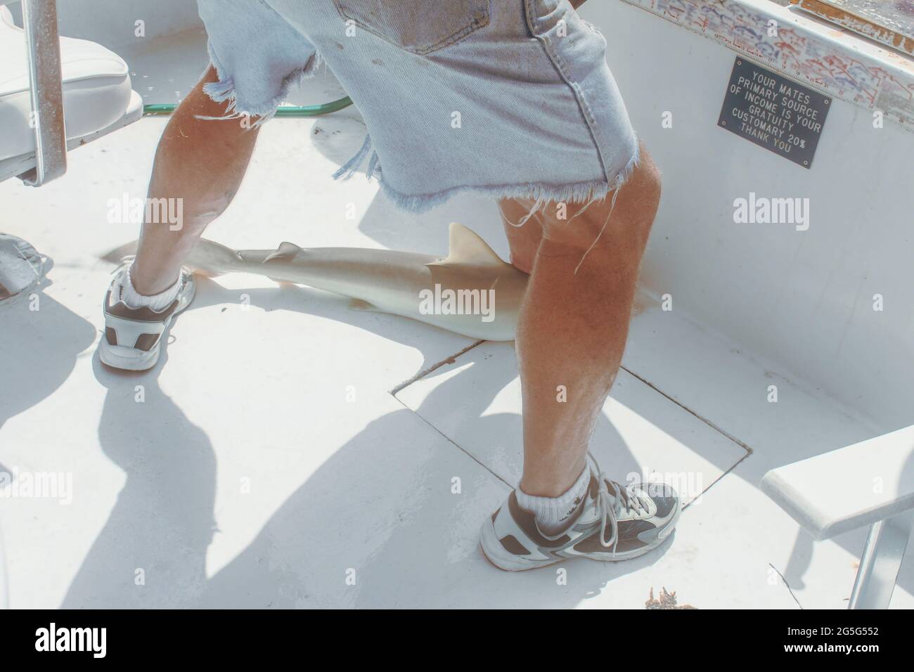 Lesen Sie die Ansicht eines Mannes in abgetrennten Shorts, der einen entflohenen Hai auf dem Boden eines Mietfischerbootes mit einem Schild über das Kippen der Crew hält - beschnitten und un Stockfoto