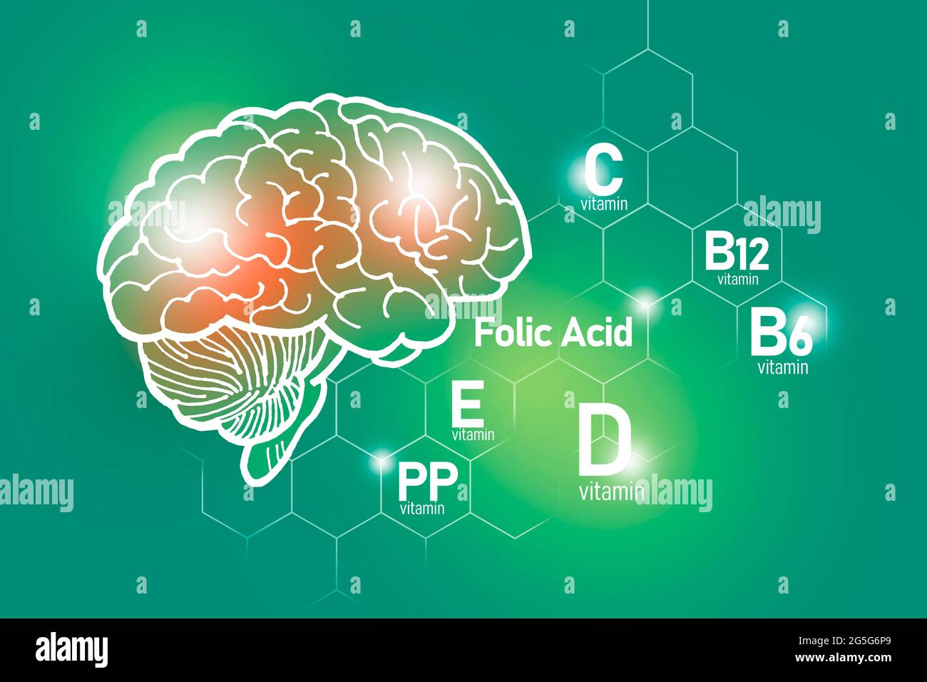 Essentielle Nährstoffe für die Gesundheit des Gehirns, einschließlich Vitamin C, Vitamin B, Folsäure, Vitamin PP. Design-Set der wichtigsten menschlichen Organe mit Vitaminen Stockfoto