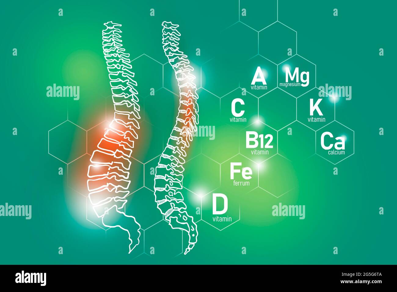 Essentielle Nährstoffe für die Gesundheit der Wirbelsäule einschließlich Magnesium, Vitamin B12, Kalzium, Ferrum.Design-Set von menschlichen Organen auf hellgrünem Hintergrund. Stockfoto