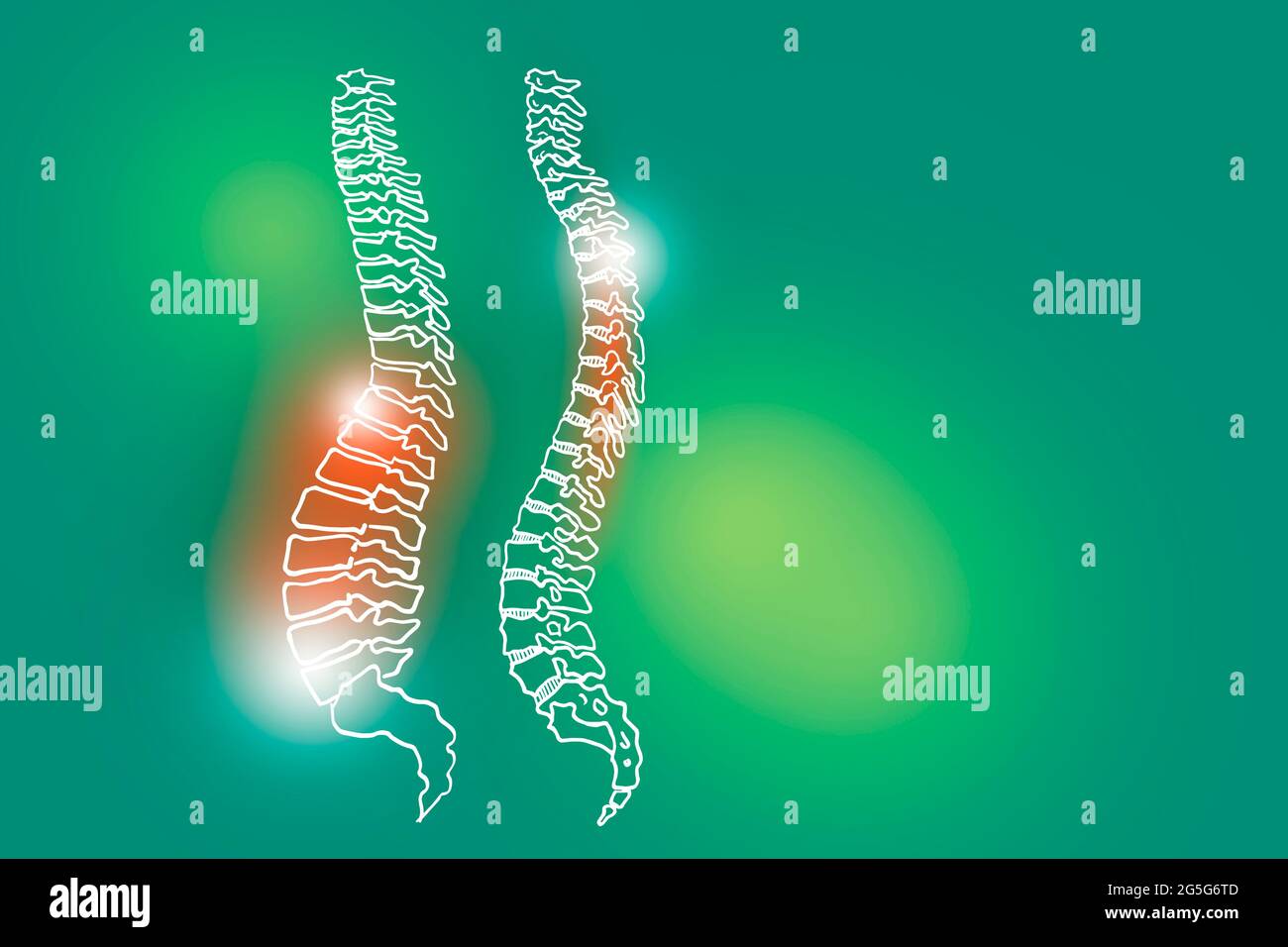 Von Hand gezeichnete Illustration der menschlichen Wirbelsäule auf hellgrünem Hintergrund. Medizin, Wissenschaftsset mit menschlichen Hauptorganen mit leerem Kopierraum für Text Stockfoto