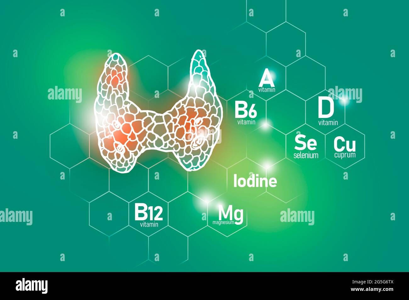 Essentielle Nährstoffe für die Gesundheit der Schilddrüse, darunter Jod, Selenuim, Vitamin B6, Cuprum auf hellgrünem Hintergrund Stockfoto