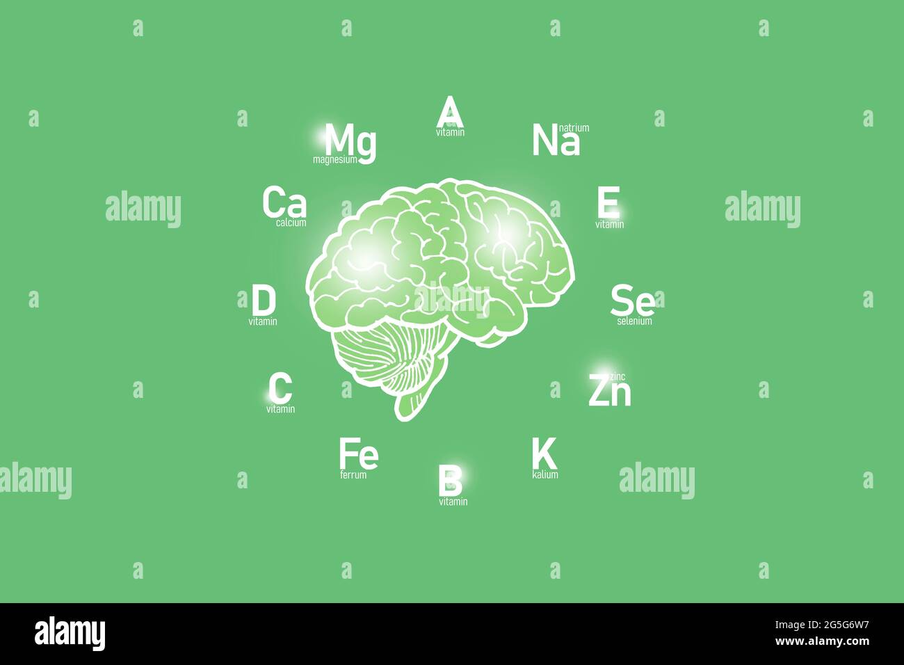 Stilisiertes Zifferblatt mit lebenswichtigen Vitaminen und Mikroelementen für die menschliche Gesundheit, handgezeichnetes Gehirn, hellgrüner Hintergrund. Design-Modell für das Gesundheitswesen. Stockfoto